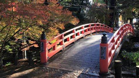 小山 市 デート スポット